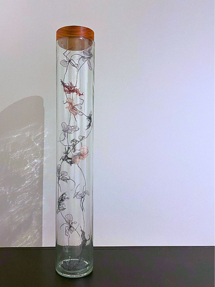 <Untitled , 2024